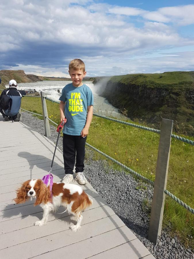 Thingvellir Lake Cottage Veithilundur Dış mekan fotoğraf