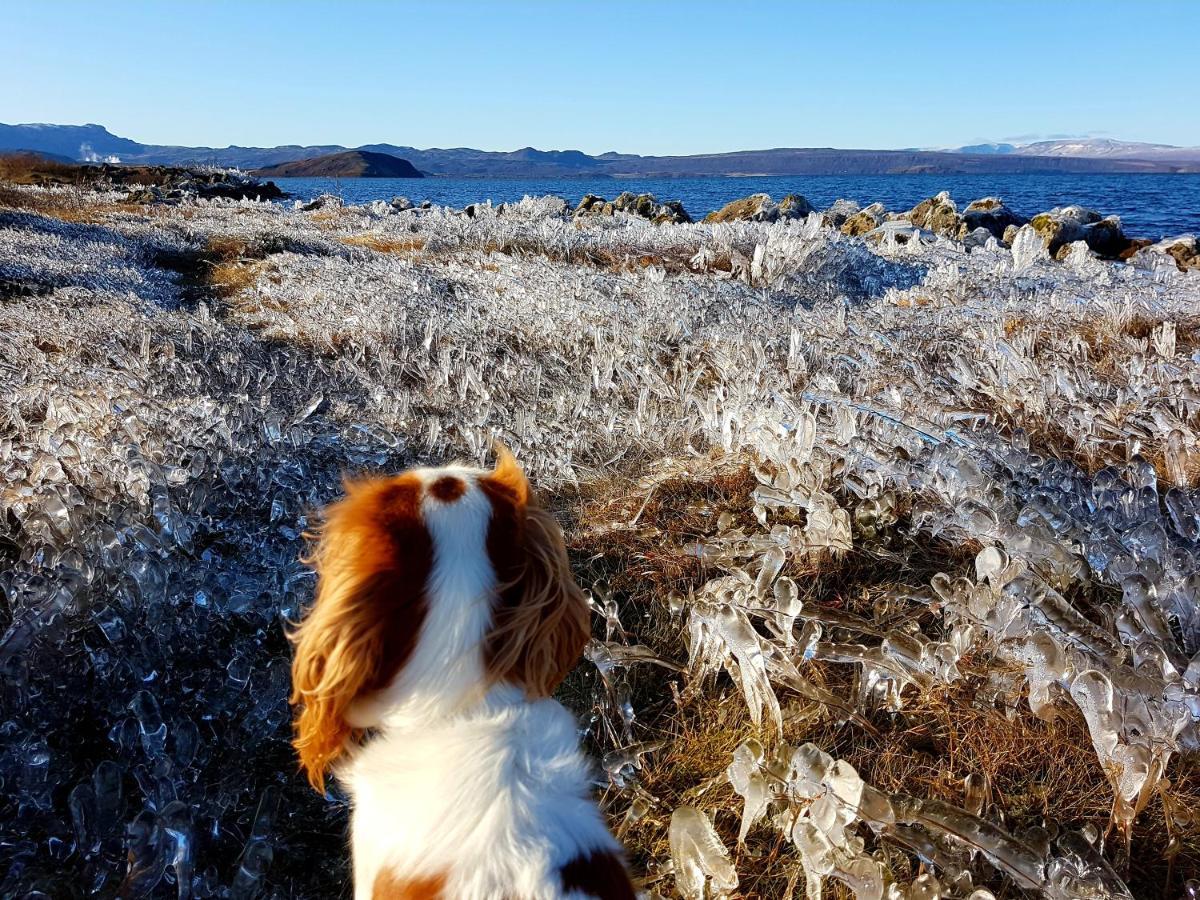 Thingvellir Lake Cottage Veithilundur Dış mekan fotoğraf