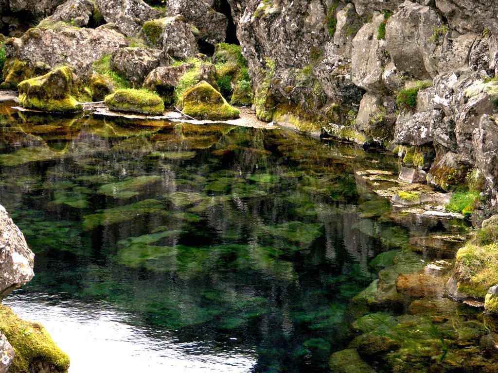 Thingvellir Lake Cottage Veithilundur Oda fotoğraf