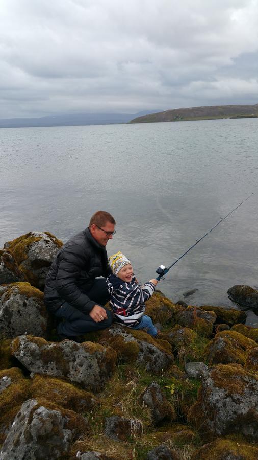 Thingvellir Lake Cottage Veithilundur Dış mekan fotoğraf